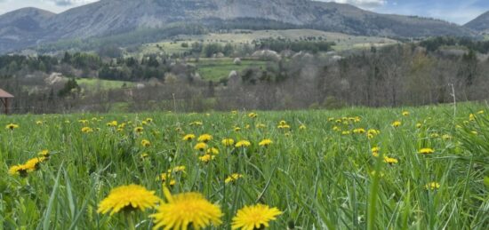 Terrain à bâtir à Gap, Provence-Alpes-Côte d'Azur