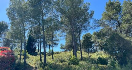 Grabels Terrain à bâtir - 2363535-10896annonce220251210Zwx5W.jpeg Maisons France Confort