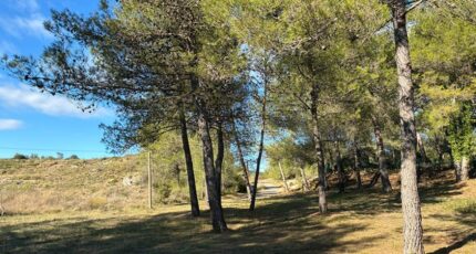 Grabels Terrain à bâtir - 2363535-10896annonce320251210WTsKd.jpeg Maisons France Confort