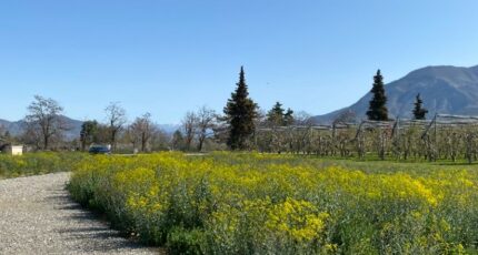 Ventavon Terrain à bâtir - 2364800-3921annonce320251211Iplyi.jpeg Maisons France Confort