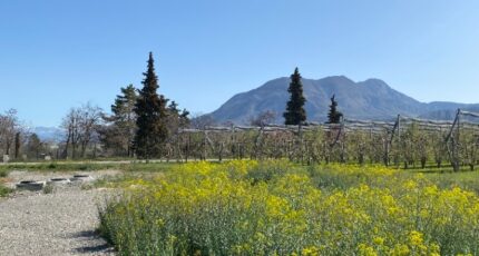 Ventavon Terrain à bâtir - 2364449-3921annonce3202512103u1o3.jpeg Maisons France Confort