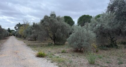 Ceyras Terrain à bâtir - 2331498-11455annonce120251107CtcDt.jpeg Maisons France Confort