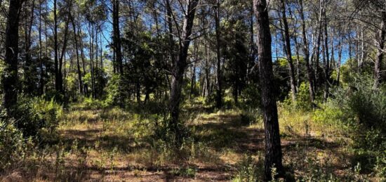 Terrain à bâtir à , Var