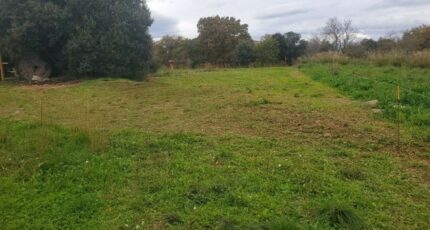 Le Bosc Terrain à bâtir - 2366525-11507annonce120251212QEIlw.jpeg Maisons France Confort