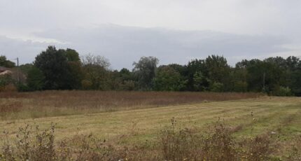 Montjoire Terrain à bâtir - 2366965-5202annonce320251212Kbzue.jpeg Maisons France Confort