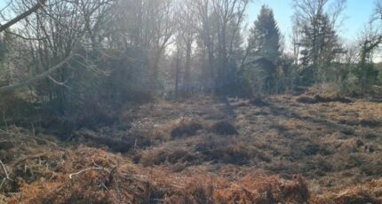 Lacombe Maison neuve - 2368857-11456annonce120250807TnD5J.jpeg Maisons France Confort