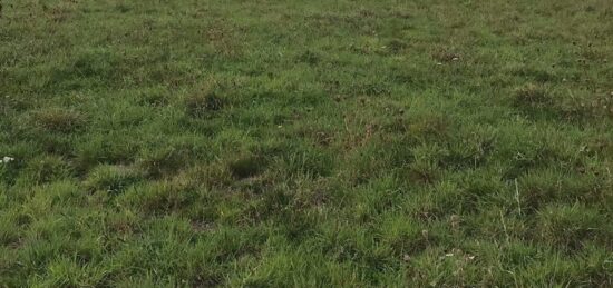 Terrain à bâtir à Lalacelle, Normandie