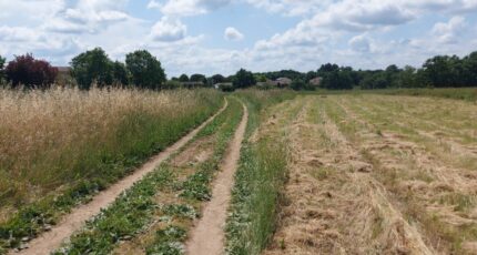 Bérat Maison neuve - 2370292-10326annonce120251216XdCmx.jpeg Maisons France Confort