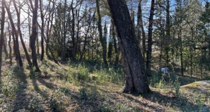 Gréasque Terrain à bâtir - 2372993-7060annonce1202508271VIzf.jpeg Maisons France Confort