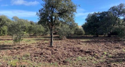 Lauris Terrain à bâtir - 2373121-7060annonce320260217lFxbm.jpeg Maisons France Confort