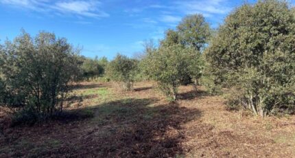 Lauris Terrain à bâtir - 2373121-7060annonce42026021702idS.jpeg Maisons France Confort