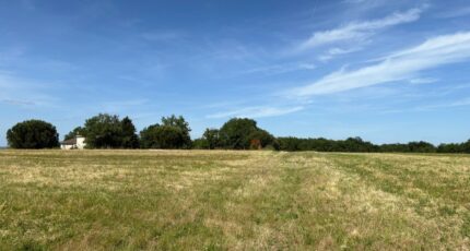 Vacquiers Terrain à bâtir - 2375218-11356annonce220251223vyRwn.jpeg Maisons France Confort