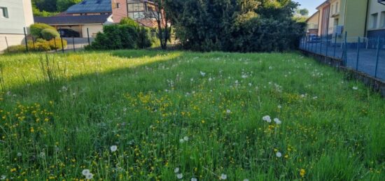 Terrain à bâtir à Frontenex, Auvergne-Rhône-Alpes