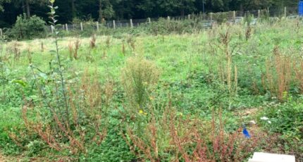 Baulne Maison neuve - 2341084-10626annonce120251117iyfiO.jpeg Maisons France Confort