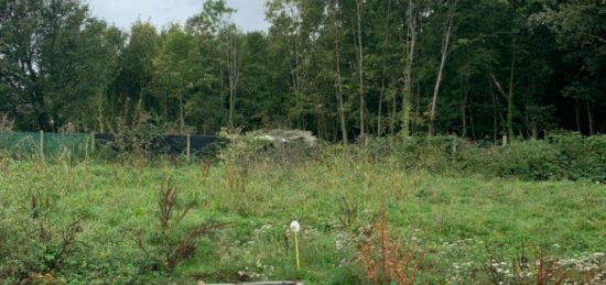 Terrain à bâtir à Baulne, Île-de-France