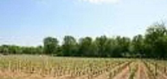 Terrain à bâtir à Cérons, Nouvelle-Aquitaine