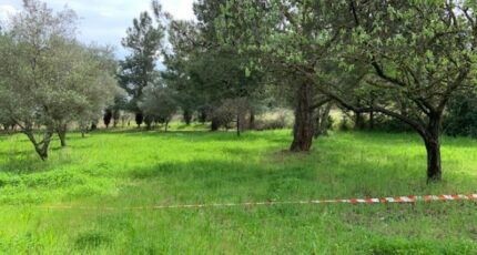 Lézignan-la-Cèbe Maison neuve - 2380498-11018annonce320250911tQ0Rl.jpeg Maisons France Confort