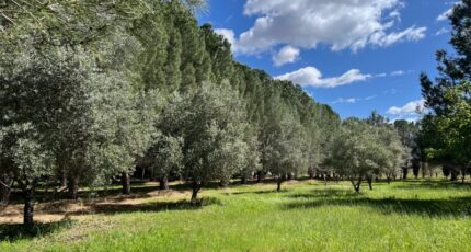 Lézignan-la-Cèbe Maison neuve - 2380501-11018annonce220250911er947.jpeg Maisons France Confort