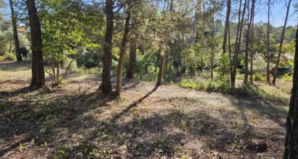 Bagnols-en-Forêt Terrain à bâtir - 2380556-5163annonce220260105DTR5w.jpeg Maisons France Confort