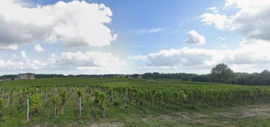 Terrain à bâtir à Fargues, Nouvelle-Aquitaine