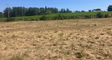 Miramont-de-Guyenne Terrain à bâtir - 2324063-11292annonce1202510317TDr0.jpeg Maisons France Confort