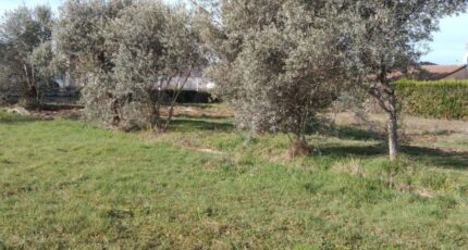 Oraison Maison neuve - 2380442-9917annonce220260105w7LWz.jpeg Maisons France Confort