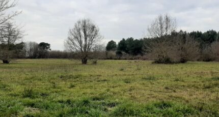 Roézé-sur-Sarthe Maison neuve - 2326138-6170annonce120251103FX5tI.jpeg Maisons France Confort