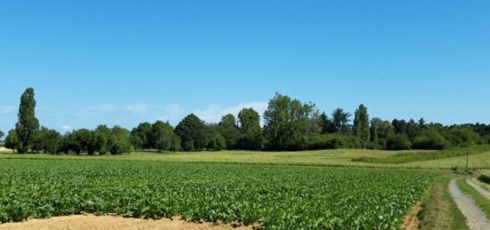 Terrain à bâtir à Boullay-les-Troux, Île-de-France