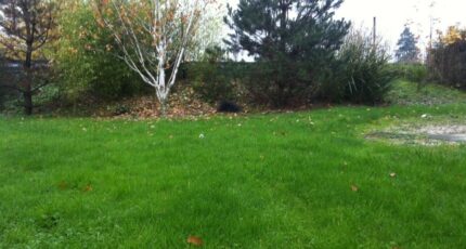 Itteville Maison neuve - 2382180-3175annonce120260106KFO0k.jpeg Maisons France Confort