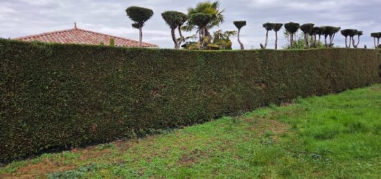 Terrain à bâtir à Tignieu-Jameyzieu, Auvergne-Rhône-Alpes