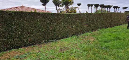 Terrain à bâtir à , Isère