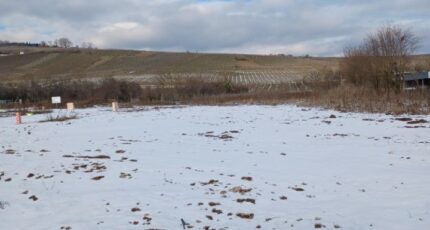 Riquewihr Maison neuve - 2382407-5767annonce620260106NOGdR.jpeg Maisons France Confort