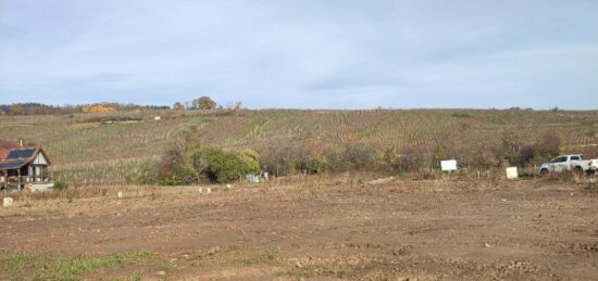 Terrain à bâtir à Riquewihr, Grand Est