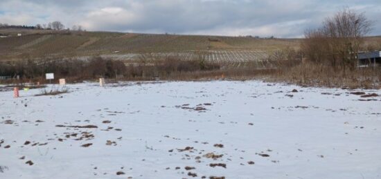 Terrain à bâtir à , Haut-Rhin
