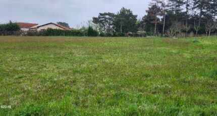 Graulhet Maison neuve - 2328488-11178annonce220251105JFWu5.jpeg Maisons France Confort