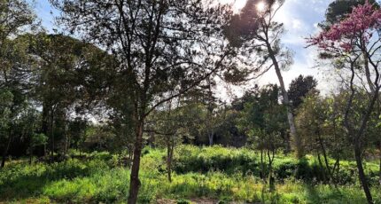 Cournonsec Terrain à bâtir - 2383769-3243annonce220250912zXgIt.jpeg Maisons France Confort