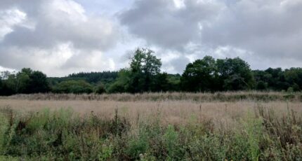 Le Breuil-en-Auge Terrain à bâtir - 2383569-11563annonce120250904HFhWf.jpeg Maisons France Confort