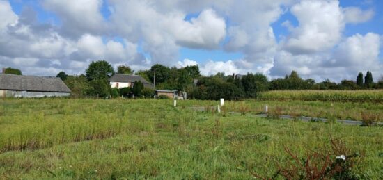Terrain à bâtir à , Calvados