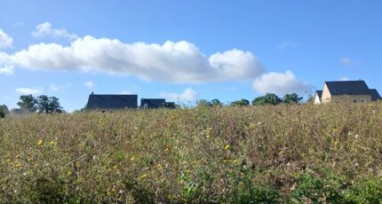 Pont-l'Évêque Maison neuve - 2383640-11563annonce120250905ewoRs.jpeg Maisons France Confort