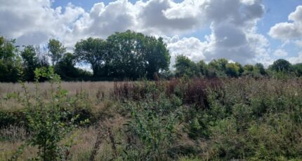 Genneville Maison neuve - 2383634-11563annonce220250905y9mZk.jpeg Maisons France Confort