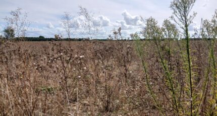 Frénouville Maison neuve - 2383678-11563annonce120250908KZ6z7.jpeg Maisons France Confort