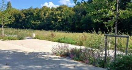 Honfleur Terrain à bâtir - 2383739-11563annonce22025091006Qzl.jpeg Maisons France Confort