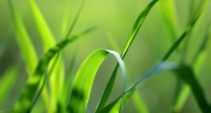 Saint-Nicolas-d'Aliermont Maison neuve - 2383983-1703annonce120260107XpdMq.jpeg Maisons France Confort