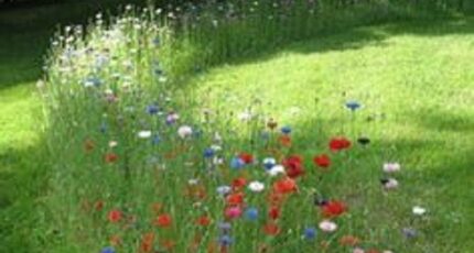 Saint-Pierre-des-Corps Maison neuve - 2382551-10205annonce120250909biCuv.jpeg Maisons France Confort