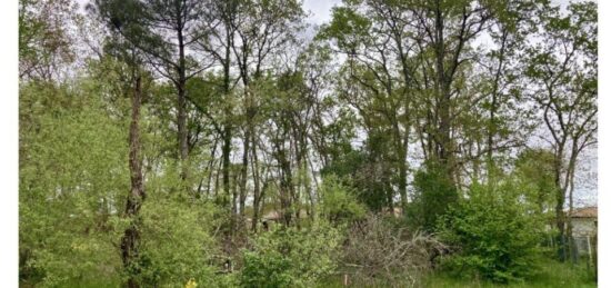 Terrain à bâtir à Mios, Nouvelle-Aquitaine