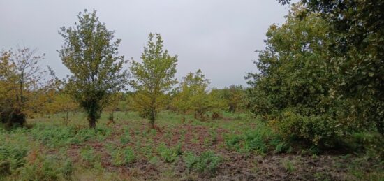 Terrain à bâtir à Gastes, Nouvelle-Aquitaine