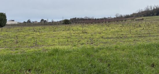 Terrain à bâtir à Marmande, Nouvelle-Aquitaine