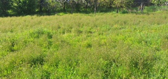 Terrain à bâtir à Colomiers, Occitanie
