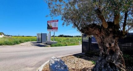 Sauvian Terrain à bâtir - 2392712-11507annonce220260114IqfyP.jpeg Maisons France Confort