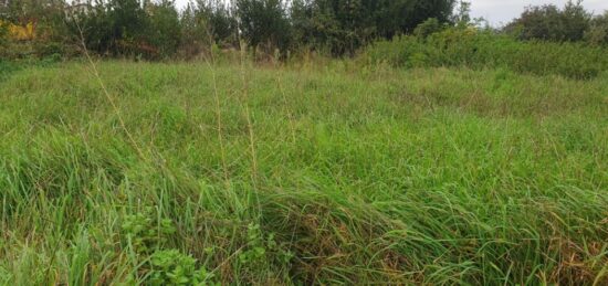 Terrain à bâtir à Lapouyade, Nouvelle-Aquitaine
